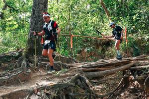 BIB: 
                            <button type="button" onclick="openModal(27716739)" class="btn btn-primary btn-sm float-right btn-popup" data-toggle="modal" data-target=".modal-high-quality">
                        <i class="fas fa-shopping-cart"></i> Add to Cart
                    </button>
                                            <button type="button" onclick="isThisMe(27716739, true)" class="btn btn-success btn-sm float-right btn-popup btn-isme hidden" data-toggle="tooltip" data-placement="bottom" title="นี่คือรูปของคุณใช่ไหม คลิกที่นี่เพื่อเอาเข้าอัลบั้ม">
                        <i class="fas fa-plus"></i> Add to album
                    </button>
                    <button type="button" onclick="isThisMe(27716739, false)" class="btn btn-warning btn-sm float-right btn-popup btn-isnotme hidden">
                        <i class="fas fa-ban"></i> Remove from album
                    </button>